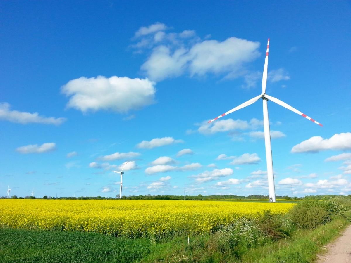 Фермерские дома Agroturystyka Nowy Kraków Jeżyce